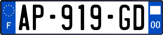 AP-919-GD