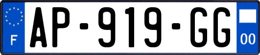 AP-919-GG