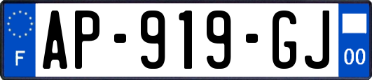 AP-919-GJ