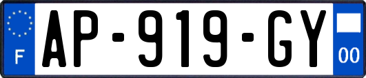 AP-919-GY
