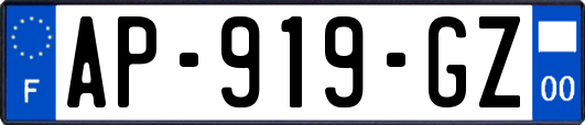 AP-919-GZ