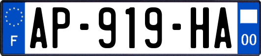 AP-919-HA