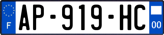 AP-919-HC