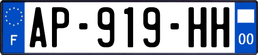 AP-919-HH