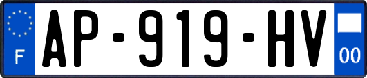 AP-919-HV