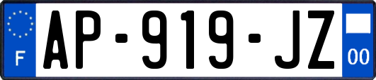 AP-919-JZ