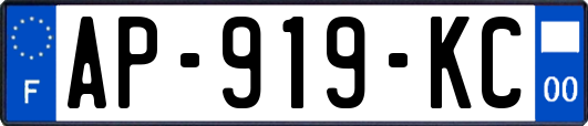 AP-919-KC