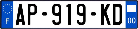 AP-919-KD