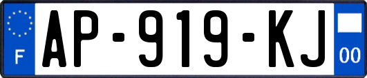 AP-919-KJ