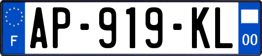 AP-919-KL