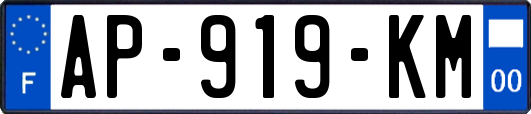 AP-919-KM