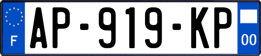 AP-919-KP