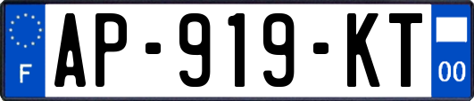 AP-919-KT