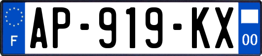 AP-919-KX