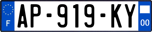 AP-919-KY