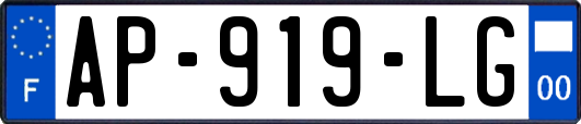 AP-919-LG
