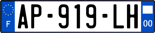 AP-919-LH