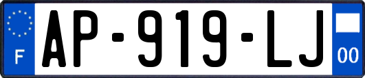 AP-919-LJ