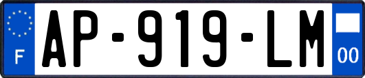 AP-919-LM
