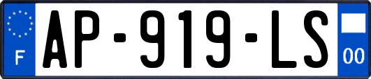 AP-919-LS