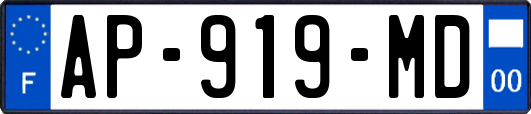 AP-919-MD
