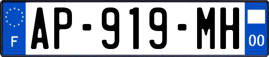 AP-919-MH