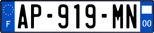 AP-919-MN