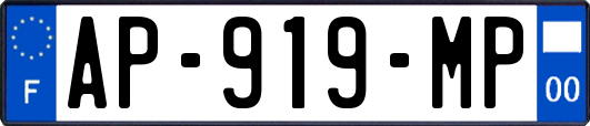 AP-919-MP