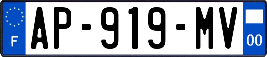 AP-919-MV