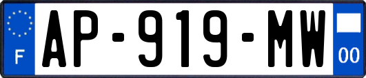 AP-919-MW