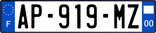 AP-919-MZ