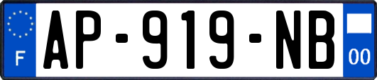 AP-919-NB