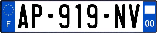 AP-919-NV