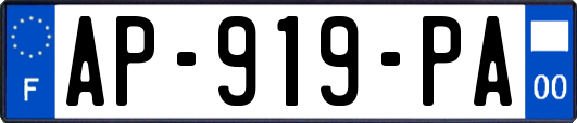 AP-919-PA