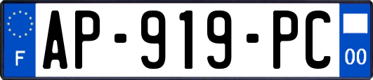 AP-919-PC