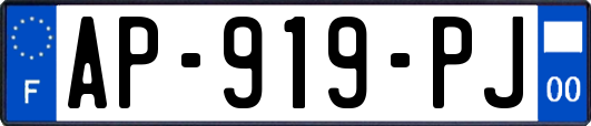 AP-919-PJ