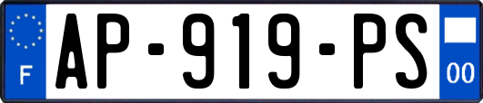 AP-919-PS