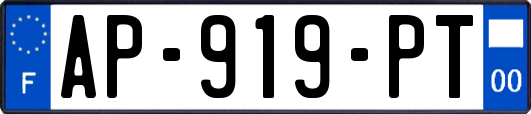 AP-919-PT
