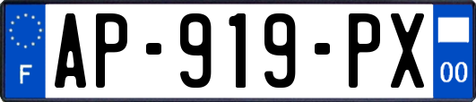 AP-919-PX