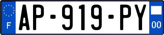 AP-919-PY
