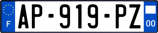 AP-919-PZ