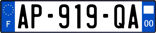 AP-919-QA