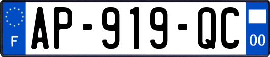 AP-919-QC