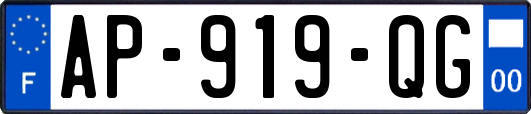 AP-919-QG