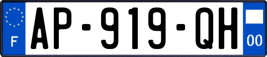AP-919-QH