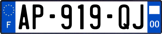 AP-919-QJ