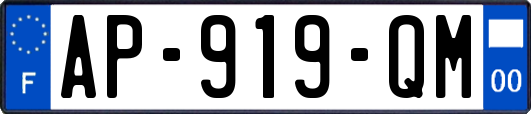 AP-919-QM