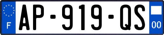 AP-919-QS
