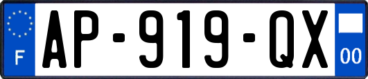 AP-919-QX
