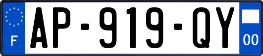 AP-919-QY